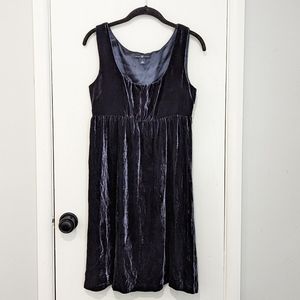 Gap Velvet Silk Dress